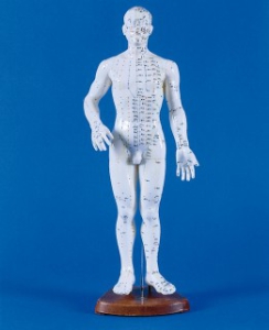 Ķīnie&scaron;u akupunktūras modelis - vīrietis