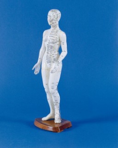 Ķīnie&scaron;u akupunktūras modelis - sieviete