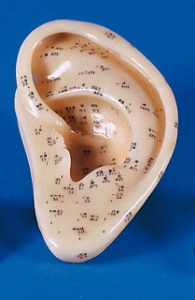 Ķīnie&scaron;u akupunktūras modelis - auss